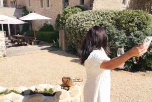 Luberon Wine and Charm: Explore the Flavors of the South
