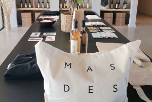 Luberon Wine and Charm: Explore the Flavors of the South