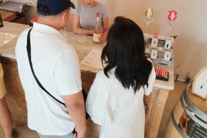 Luberon Wine and Charm: Explore the Flavors of the South