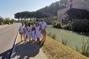 Luberon Wine and Charm: Explore the Flavors of the South