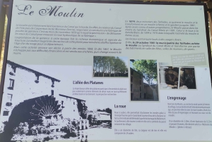 Luberon Wine and Charm: Explore the Flavors of the South