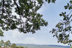 Luberon Wine and Charm: Explore the Flavors of the South