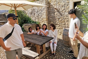 Luberon Wine and Charm: Explore the Flavors of the South