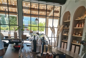 Luberon Wine and Charm: Explore the Flavors of the South