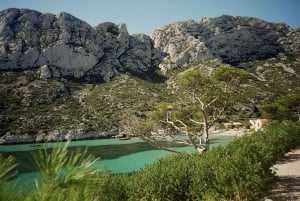 Marseille: 24, 48, or 72-Hour CityPass with Public Transport