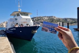 Marseille: 24, 48, or 72-Hour CityPass with Public Transport