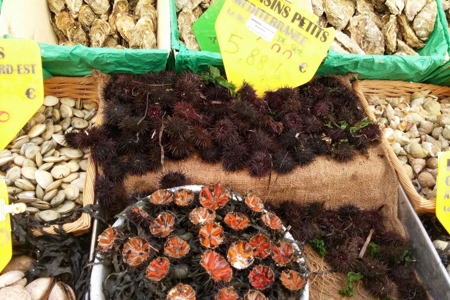 Marseille: 3-Hour Shore Excursion Walking Food Tour