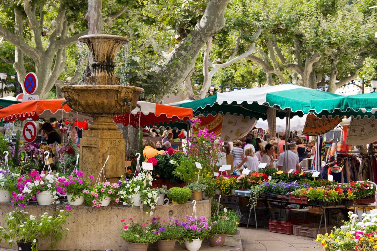 Marseille, Aix-en-Provence & Cassis 7-Hour Tour