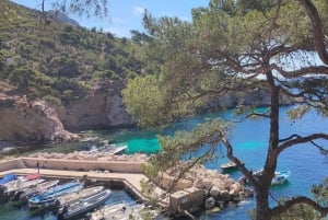 Marseille, Aix-en-Provence & Cassis 7-Hour Tour