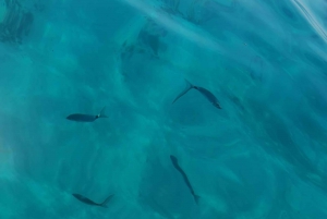 Marseille: Calanques Côte Bleue Boat Tour