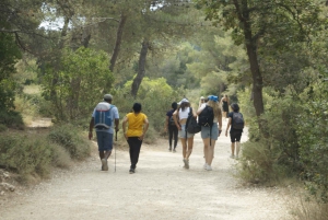 Marseille: Calanques National Park Guided Hike with Picnic