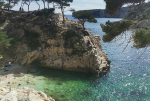 Marseille: Calanques National Park Guided Hike with Picnic