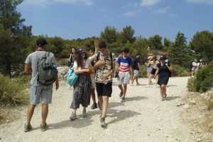 Marseille: Calanques National Park Guided Hike with Picnic