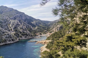 Marseille: Calanques National Park Guided Hike with Picnic