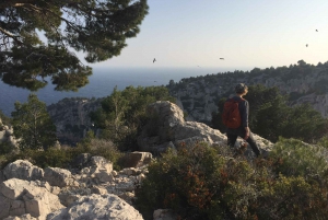 Marseille: Calanques National Park Guided Hike with Picnic