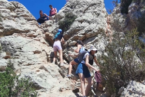 Marseille: Calanques National Park Guided Hike with Picnic