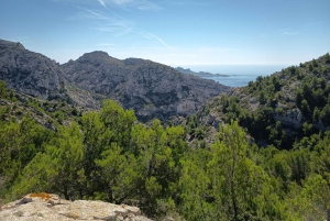 Marseille: Calanques National Park Guided Summit Hike