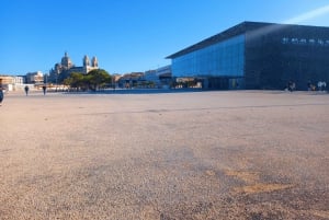 Marseille: Essential Guided Walking Tour of the City