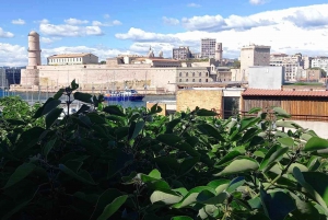 Marseille: Essential Guided Walking Tour of the City