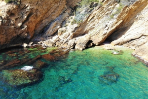 Marseille: Côte Bleue Calanques Half-Day Kayak Tour