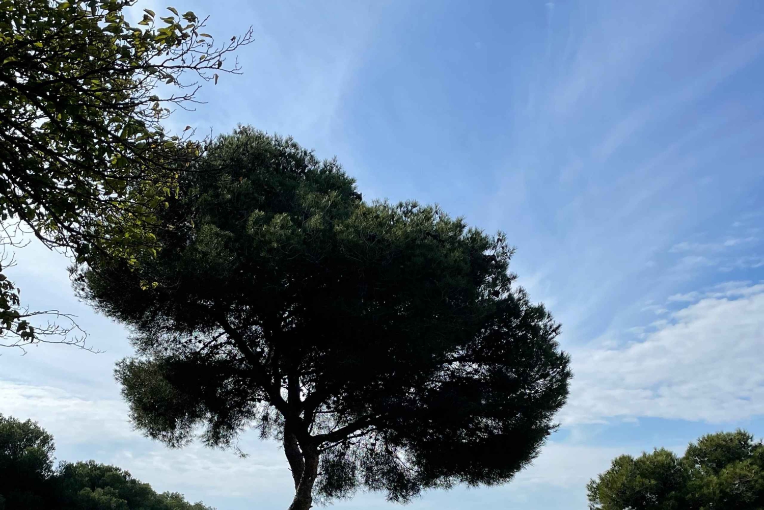 Marseille: Creative hike with watercolor and sketching on the Côte Bleue