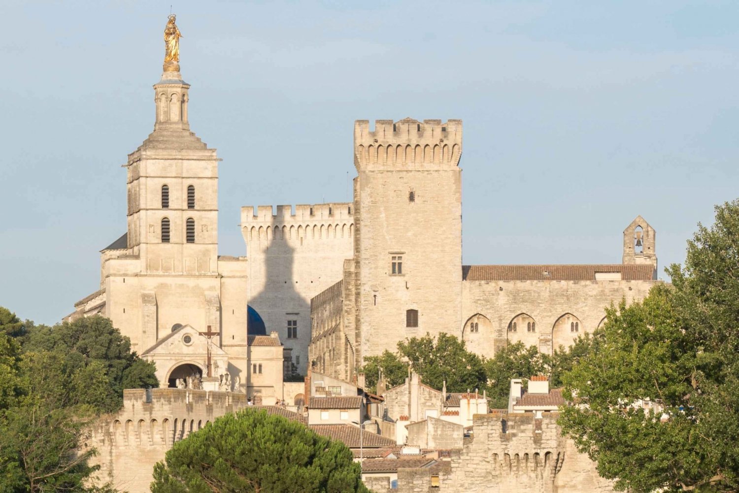 From Marseille Cruise Port : Avignon & Wine Tasting