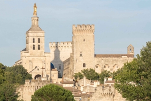 From Marseille Cruise Port : Avignon & Wine Tasting
