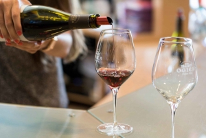 From Marseille Cruise Port : Avignon & Wine Tasting