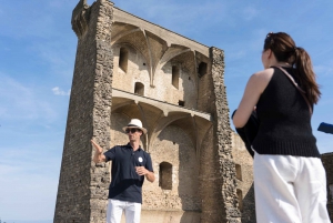 From Marseille Cruise Port : Avignon & Wine Tasting