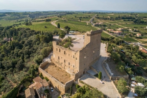 From Marseille Cruise Port : Avignon & Wine Tasting