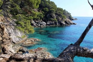 Marseille: Day Boat Ride in the Calanques with Wine Tasting