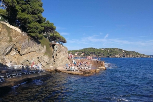 Marseille: Day Boat Ride in the Calanques with Wine Tasting