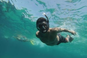 Marseille: Endoume Snorkeling Adventure with Snacks & Drinks
