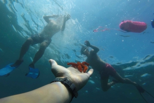 Marseille: Endoume Snorkeling Adventure with Snacks & Drinks