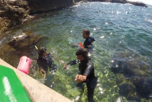 Marseille: Endoume Snorkeling Adventure with Snacks & Drinks
