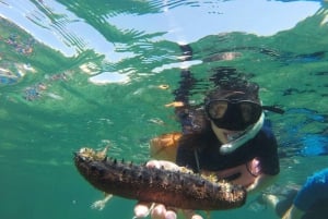 Marseille: Endoume Snorkeling Adventure with Snacks & Drinks