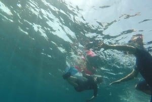Marseille: Endoume Snorkeling Adventure with Snacks & Drinks