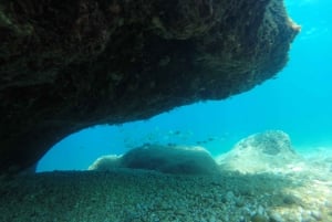 Marseille: Endoume Snorkeling Adventure with Snacks & Drinks