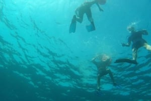Marseille: Endoume Snorkeling Adventure with Snacks & Drinks