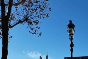 Old Port Walking Tour with Boat Ride & Local Food Tasting