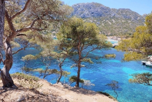 Marseille: Guided Hiking Calanques National Park from Luminy