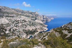Marseille: Guided Hiking Calanques National Park from Luminy