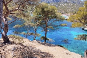 Marseille: Guided Hiking Calanques National Park from Luminy
