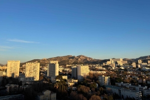 Marseille: Guided Walking Tour with Local Artist