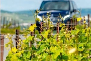 Marseille Highlights & Wine tasting Day tour