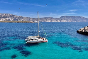 Marseille: Calanques Catamaran Cruise, Picnic, & Swimming