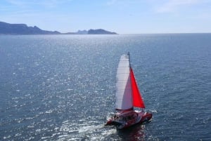 Marseille : Calanques Catamaran Cruise with Lunch & Wine