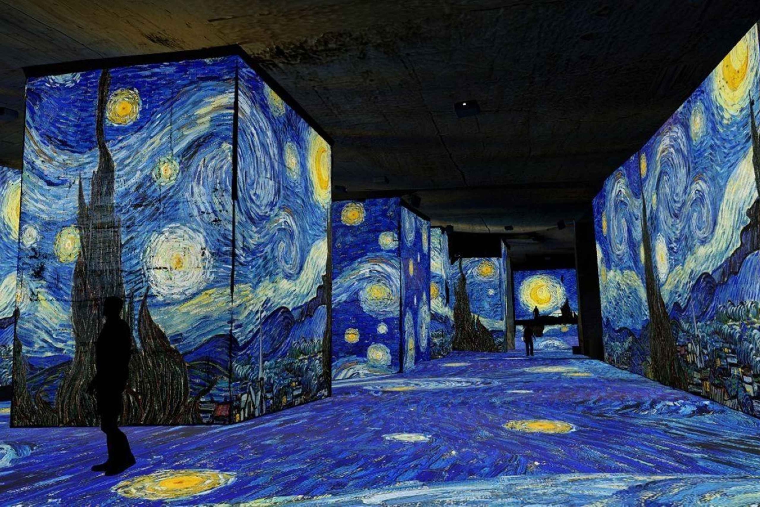 Marseille: Les Baux & Saint-Rémy Private Tour