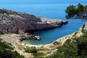 Marseille : Local Neighborhoods Guided Walking Tour