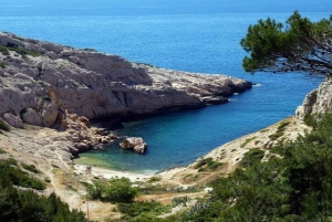 Marseille : Local Neighborhoods Guided Walking Tour